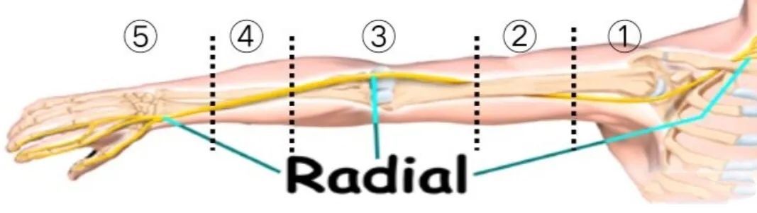 女朋友枕着胳膊睡手麻了怎么解决,女友枕的手麻了怎么办