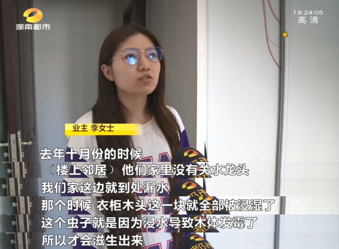 在床上枕头底下发现一虫,长沙一女子发现床垫有虫子