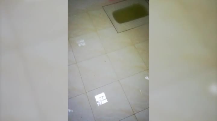 桂林一房一厅500元租房,桂林一房一厅800元租房