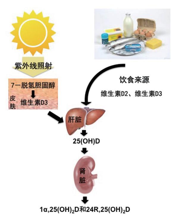 肺癌治疗副作用及防治小贴士,降低癌症副作用