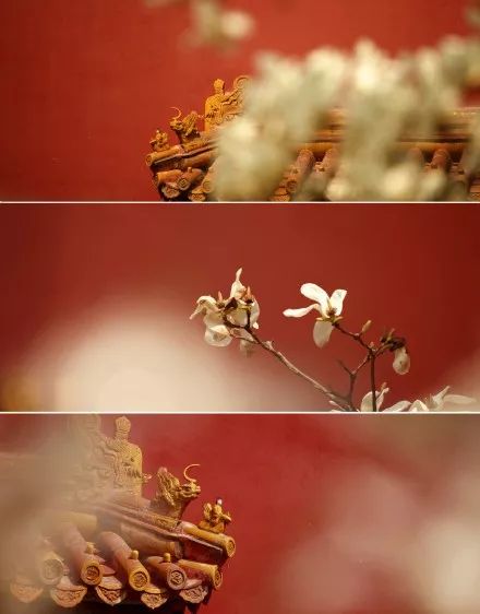 来自故宫的礼物簪子,来自故宫的礼物香包