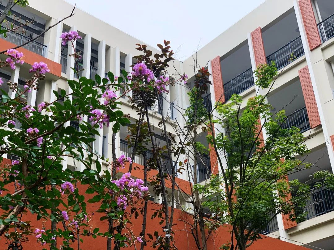 南京第二批学校开学,南京新建新学校名单