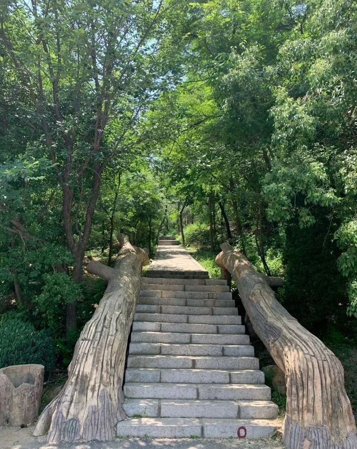 游荷塘生态旅游区攻略,风景优美天然氧吧旅游的好去处