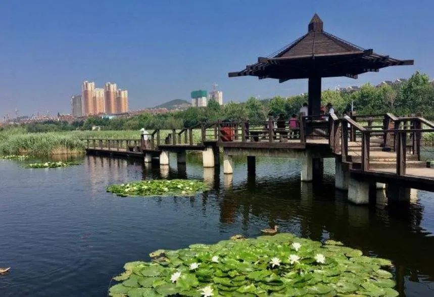 游荷塘生态旅游区攻略,风景优美天然氧吧旅游的好去处