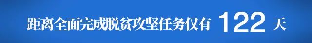 天津市西青区消费扶贫馆电话,天津消费帮扶馆招商电话