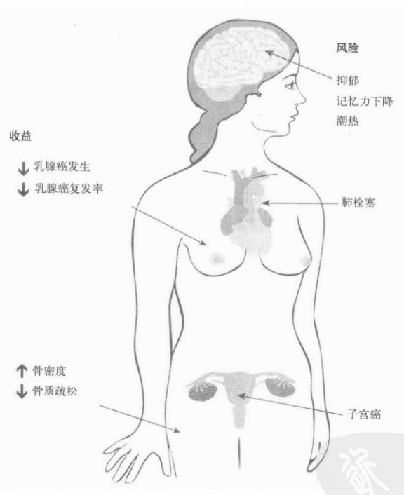 三苯氧胺的窘境|《更年期的聪颖》第十三章第10节