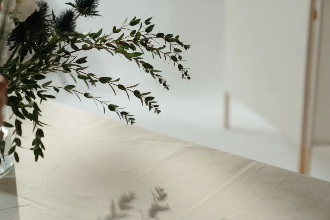 三苯氧胺的窘境|《更年期的聪颖》第十三章第10节