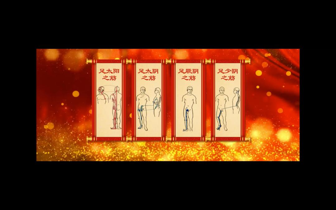 12月3日养生堂节目回放,养生堂视频疏利三焦护肾