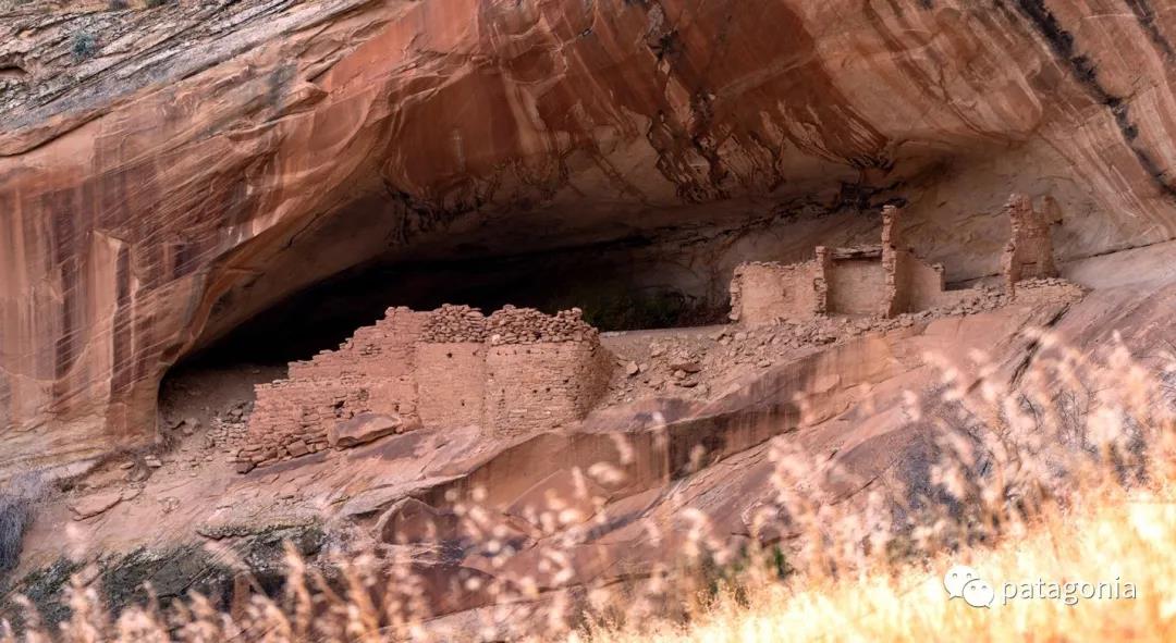 为什么Patagonia常年奔走于保护公共土地的战斗中？