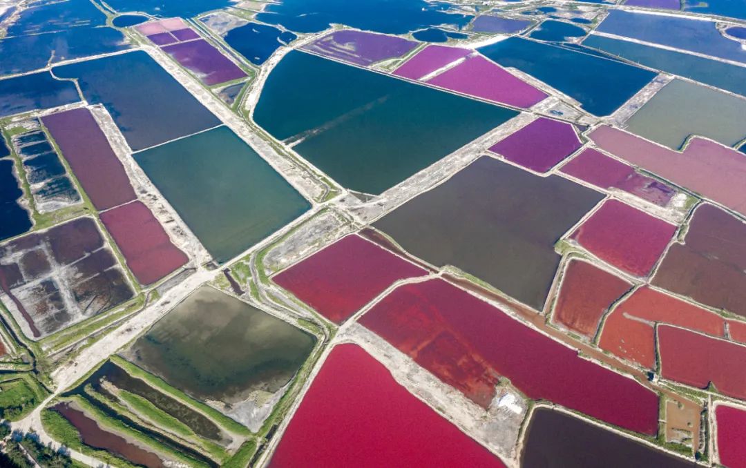 今天抢消费券,今天抢票抢到了吗