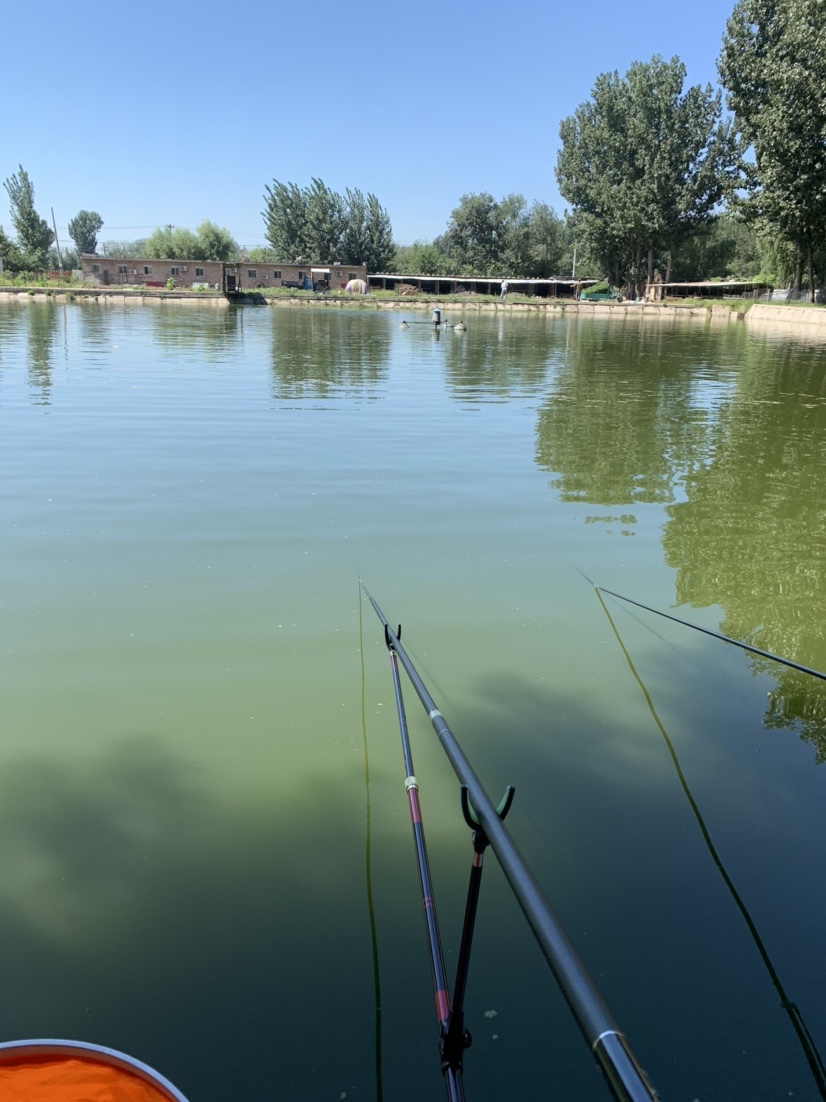 再战小水坑，今日有大收获