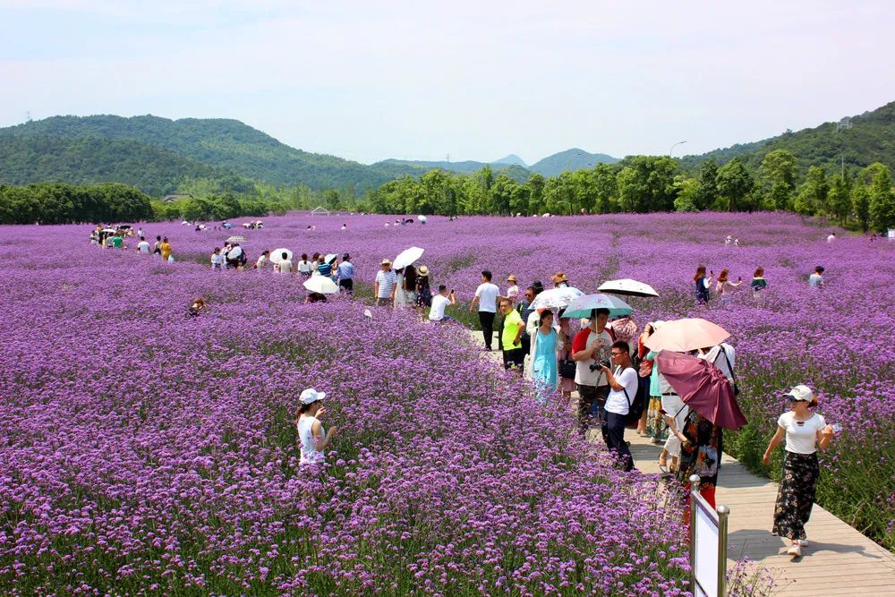宁波横街网红打卡景点,宁波创意园网红打卡地点