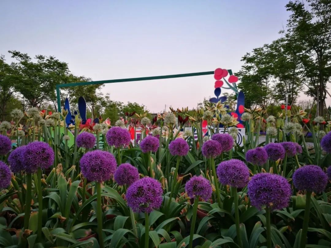 宁波横街网红打卡景点,宁波创意园网红打卡地点