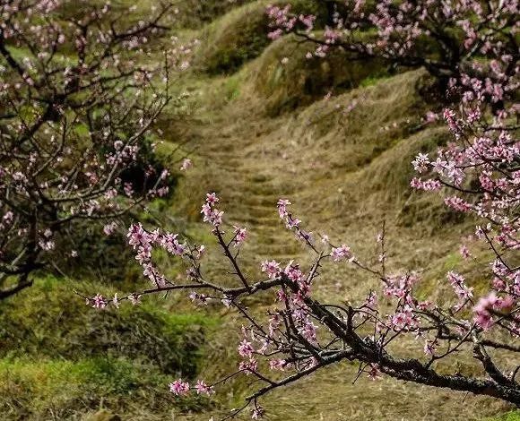 宁波横街网红打卡景点,宁波创意园网红打卡地点