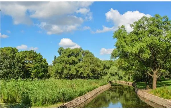 上海共青森林公园,上海共青森林公园花