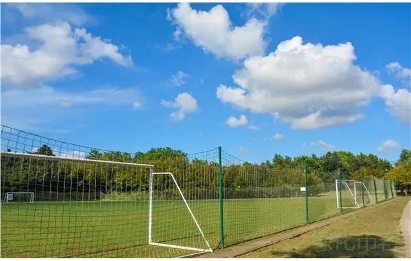 上海共青森林公园,上海共青森林公园花