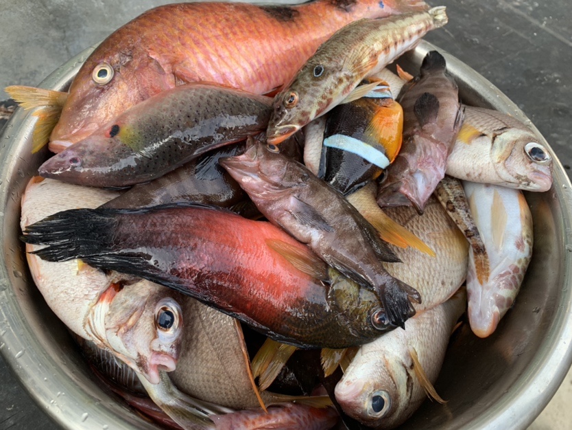 南海漂流怎么样,佛山海钓野钓