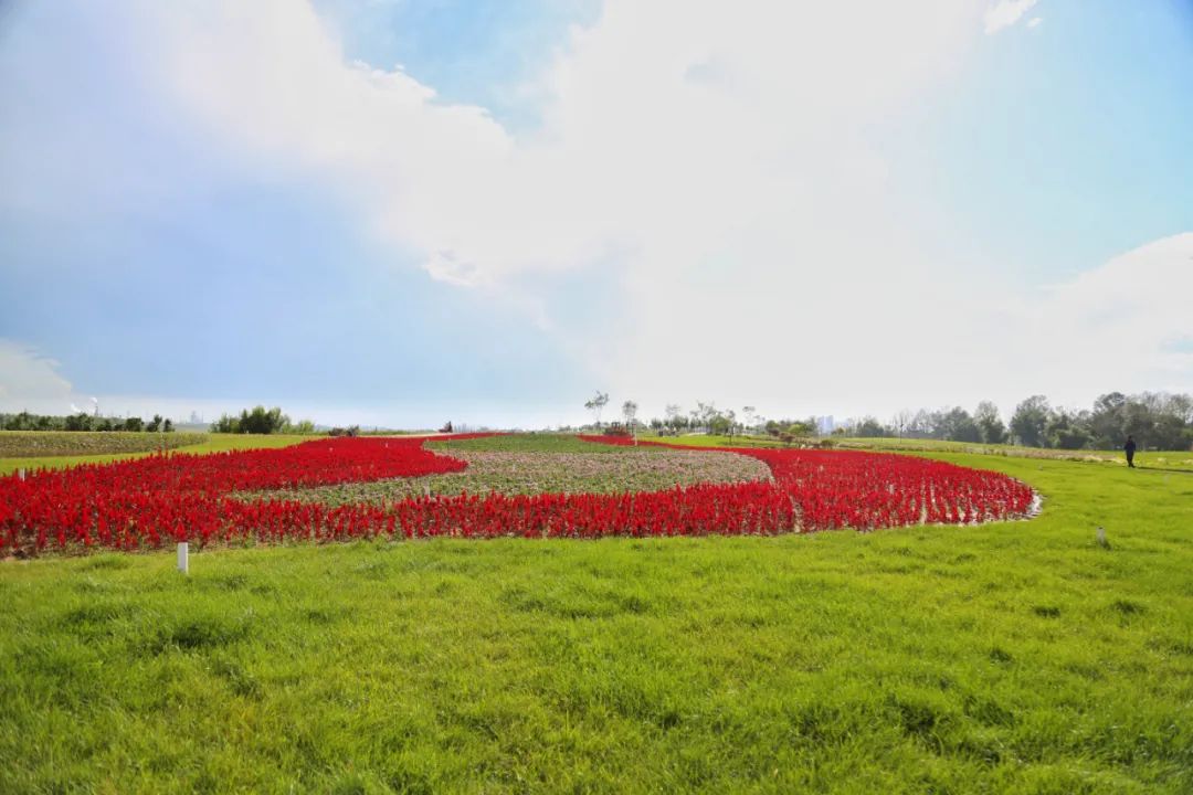 花田之约，醉美其中…