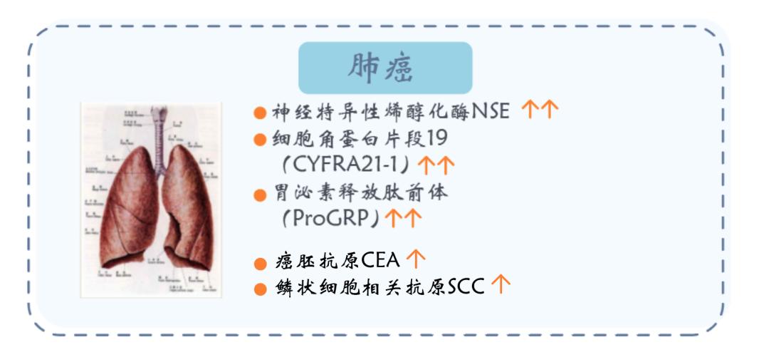 卢仁泉医生讲科普|检验科＝抽血＋验大小便？当然不是