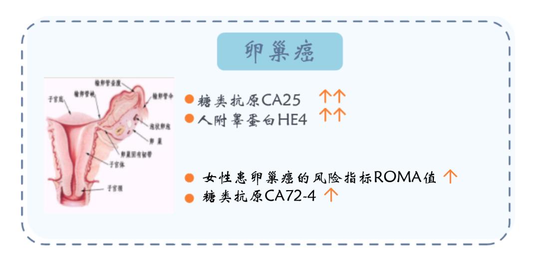 卢仁泉医生讲科普|检验科＝抽血＋验大小便？当然不是