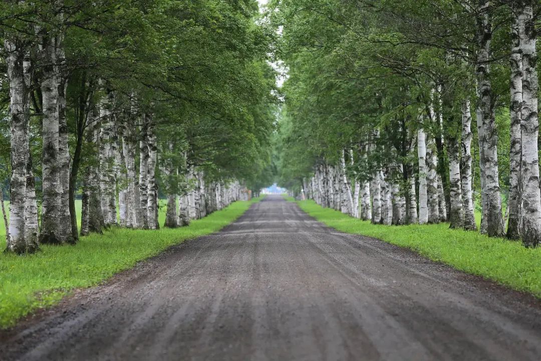 跨越千山万水只为遇见你歌曲,跨越千山万水只为追寻