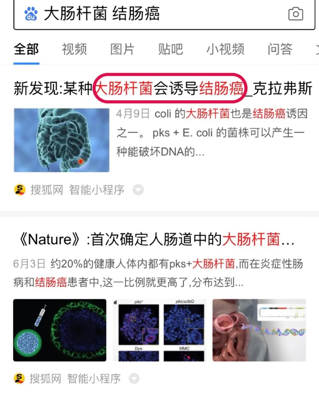 菜板保护,菜板好用又健康