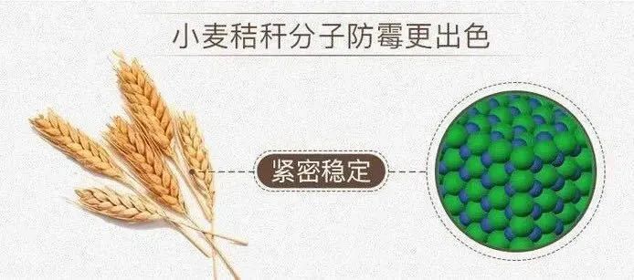 菜板保护,菜板好用又健康