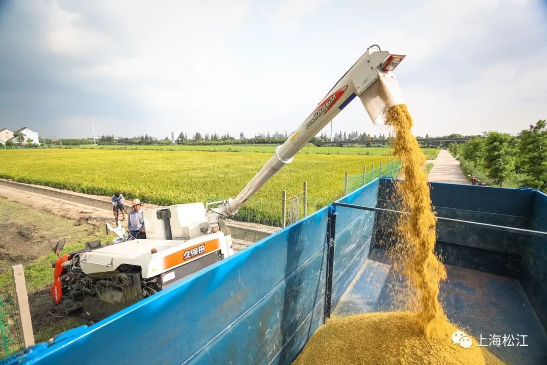鏂逛究绫抽キ鍏ㄥ浗鍙戣揣,鏂逛究澶х背