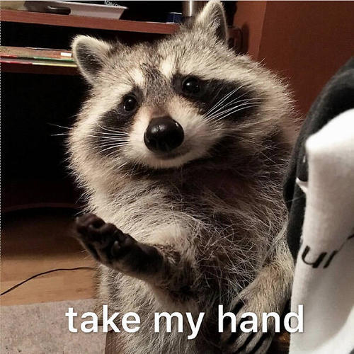 打游戏的零食有哪些,玩游戏最适合吃什么零食