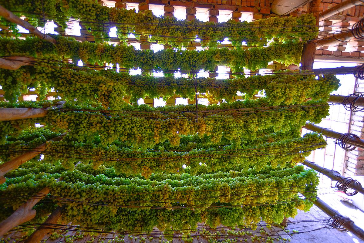 打游戏的零食有哪些,玩游戏最适合吃什么零食