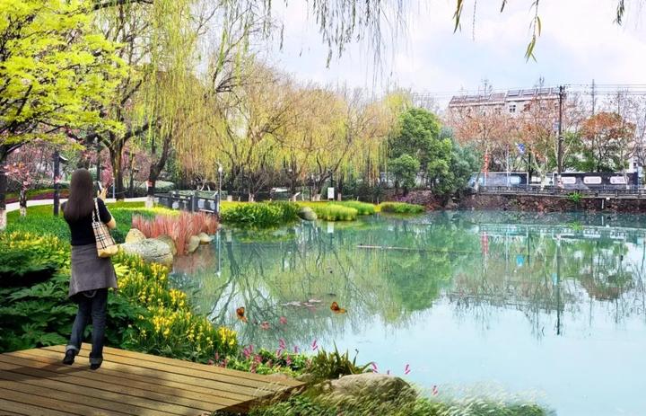 衢州市柯城区府山公园,府山公园最新视频