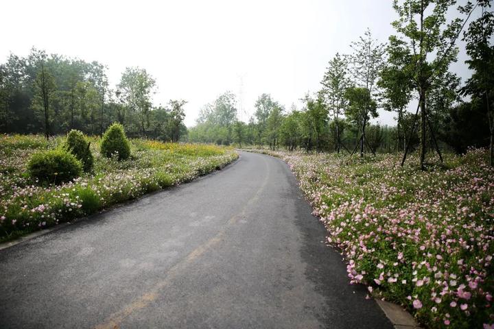 衢州市柯城区府山公园,府山公园最新视频