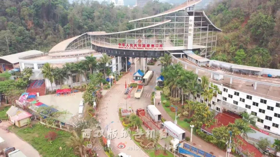 水果出口贸易现状,磨憨口岸外贸出口总额