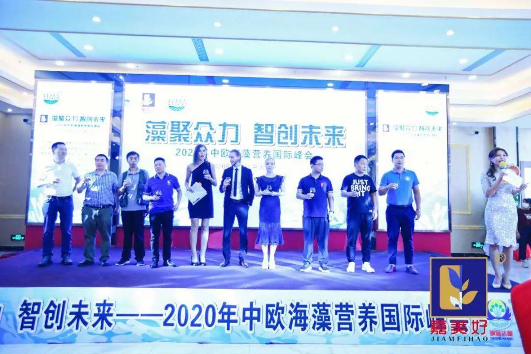 广东嘉美好进出口,广东嘉美好公司