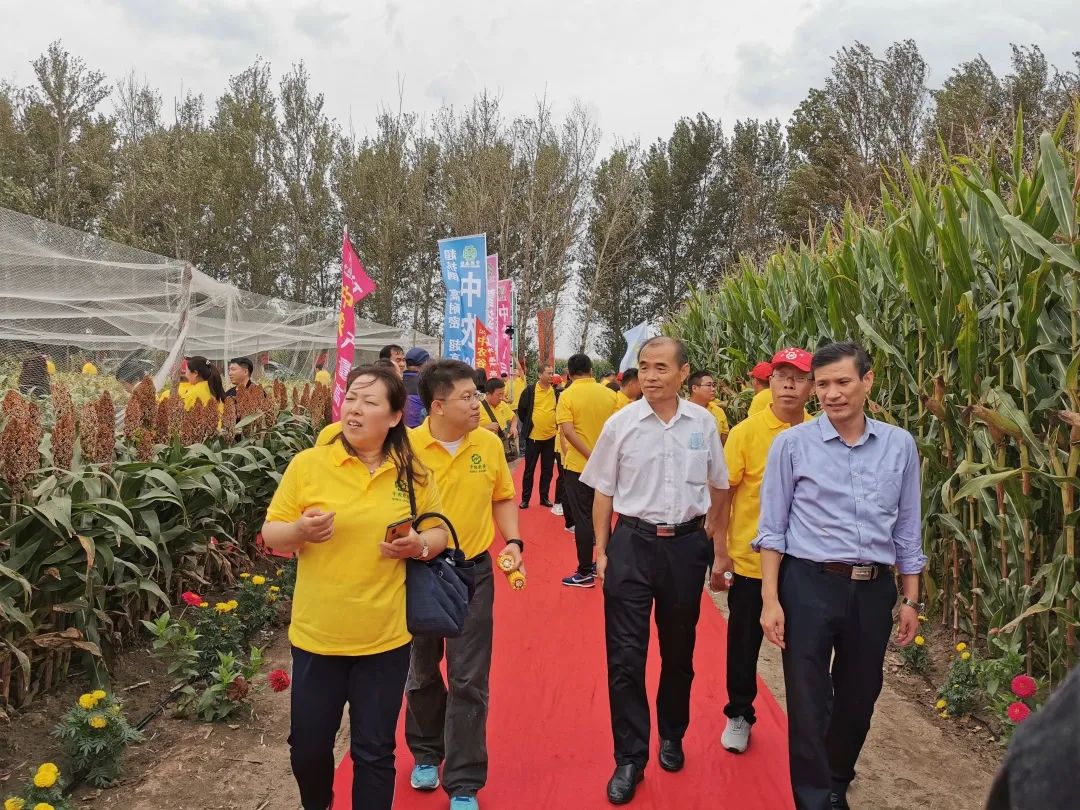 内蒙中农种子科技有限公司,内蒙古中农现代农业科技