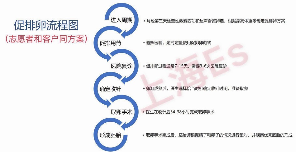 商业代孕违法会被怎么制裁,代孕市场急需法律规范