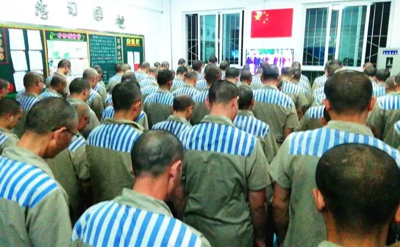 铭记历史展望未来感悟,铭记历史展望未来诗歌