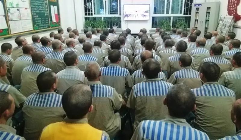 铭记历史展望未来感悟,铭记历史展望未来诗歌