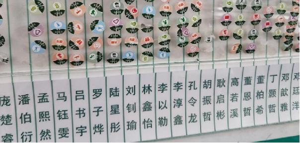 青岛红领巾争章活动内容怎么写,开展红领巾奖章争章活动总结