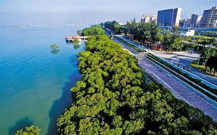 宝安40年蝶变,深圳特区40年蜕变