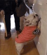 专家支招挑食孩子饮食,纠正孩子挑食偏食营养师有技巧