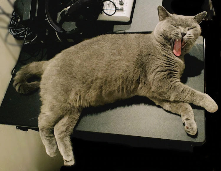 疫情之下，Perfume成员转型在家营业游戏主播？