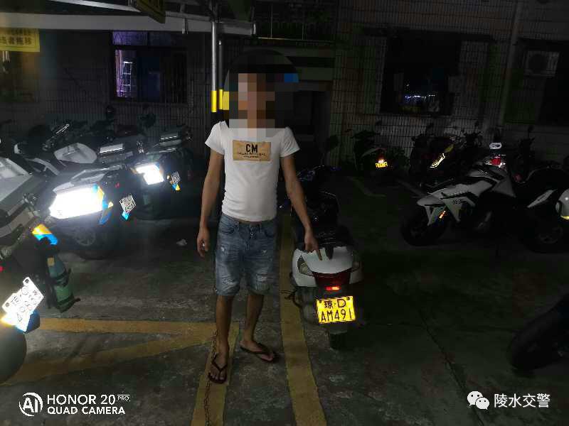 陵水公安交警再曝光酒驾,醉猫被查获