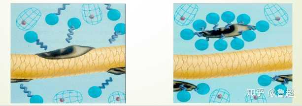头发太脏洗发水不起沫,洗头发洗发水在头发上不起泡