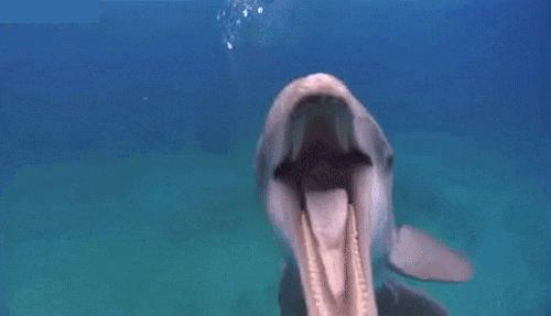 成年人排屁方法,怎么改善憋屁坏习惯