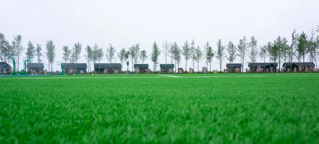 马桥镇这个村，不仅把矿山建成了乐园，还让矿区变成了花海