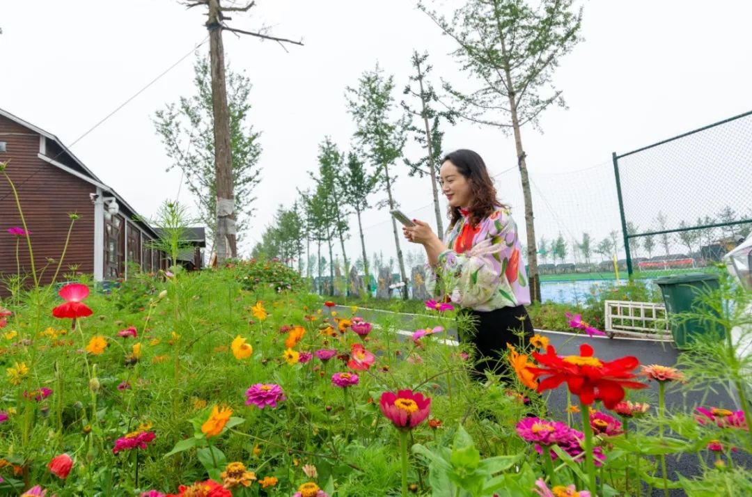 马桥镇这个村，不仅把矿山建成了乐园，还让矿区变成了花海