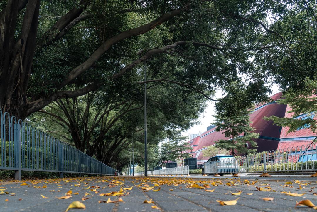 龙岗中心城park,live龙岗中心城