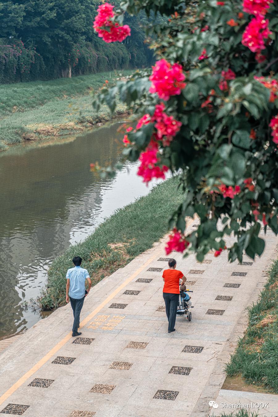 龙岗中心城park,live龙岗中心城