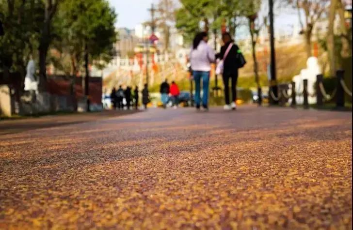 越夜越嗨丨顶级夜跑景区，给你成本最低的人鱼线！